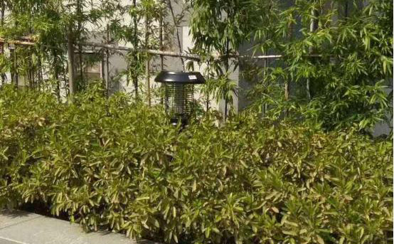 戶外滅蚊燈什么牌子好？尚科滅蚊燈